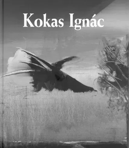 Rózsa Gyula - Kokas Ignác (e-könyv)