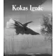 Rózsa Gyula - Kokas Ignác (e-könyv)