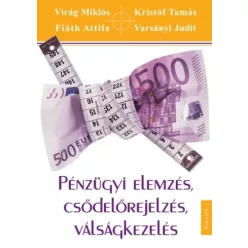   Fiáth Attila, Kristóf Tamás, Varsányi Judit, Virág Miklós - Pénzügyi elemzés, csődelőrejelzés, válságkezelés (e-könyv)
