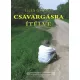 Illés György - Csavargásra ítélve (e-könyv)