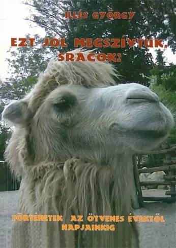 Illés György - Ezt jól megszívtuk, srácok! (e-könyv)