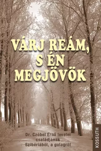 Szádvári Lídia - Várj reám, s én megjövök (e-könyv)
