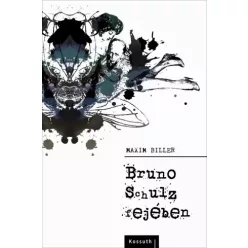 Maxim Biller - Bruno Schulz fejében (e-könyv)
