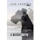 Jack London - A beszélő kutya (e-könyv)