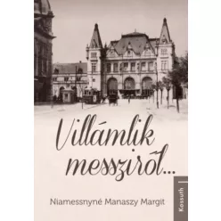   Niamessnyné Manaszy Margit - Villámlik messziről... (e-könyv)