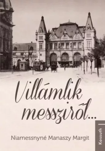 Niamessnyné Manaszy Margit - Villámlik messziről... (e-könyv)
