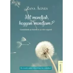 Ágnes Zana - Mit mondjak, hogyan mondjam? (e-könyv)