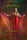 Shepherd Tailor - Út az ismeretlenbe (e-könyv)