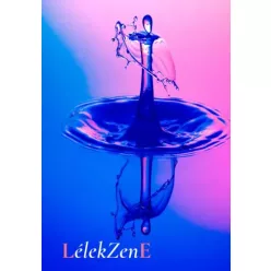 László Erika - LélekZenE (e-könyv)