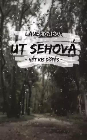 Lauer Gábor - Út sehová (e-könyv)