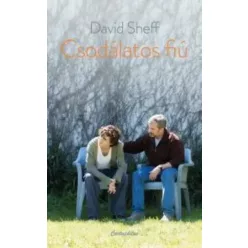David Sheff - Csodálatos fiú (e-könyv)
