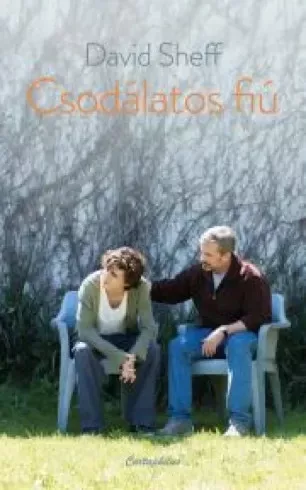 David Sheff - Csodálatos fiú (e-könyv)