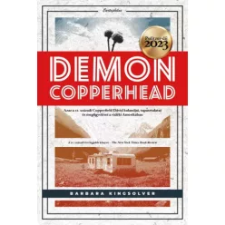 Barbara Kingsolver - Demon Copperhead (e-könyv)