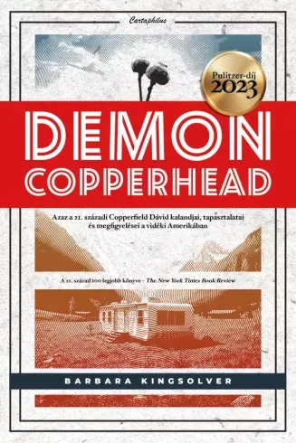 Barbara Kingsolver - Demon Copperhead (e-könyv)