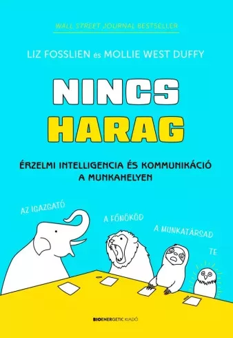 Liz Fosslien, Mollie West Duffy - Nincs harag (e-könyv)