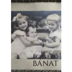 Lám Edit - Égig érő bánat (e-könyv)