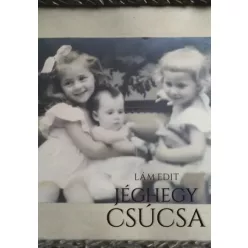 Lám Edit - A jéghegy csúcsa (e-könyv)