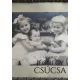 Lám Edit - A jéghegy csúcsa (e-könyv)