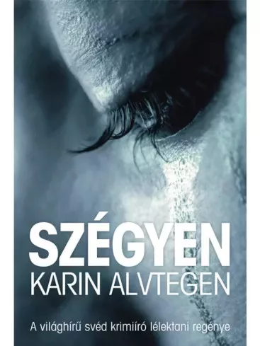 Karin Alvtegen - Szégyen (e-könyv)