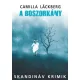 Camilla Läckberg - A boszorkány (e-könyv)