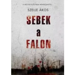 Szelle Ákos - Sebek a falon (e-könyv)