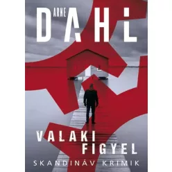 Arne Dahl - Valaki figyel (e-könyv)