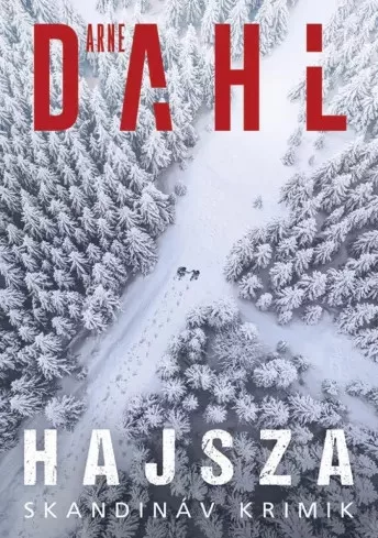 Arne Dahl - Hajsza (e-könyv)