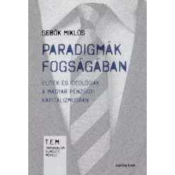 Sebők Miklós - Paradigmák fogságában (e-könyv)