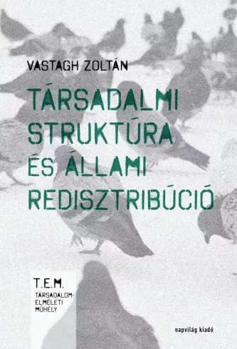 Vastagh Zoltán - Társadalmi struktúra és állami redisztribúció (e-könyv)