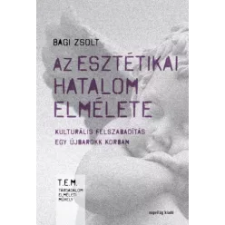 Bagi Zsolt - Az esztétikai hatalom elmélete (e-könyv)