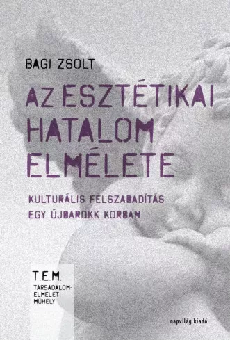 Bagi Zsolt - Az esztétikai hatalom elmélete (e-könyv)