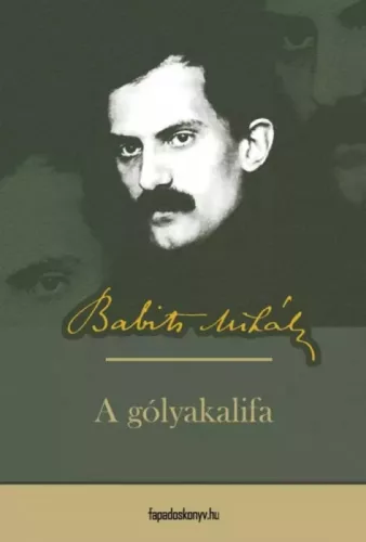 Babits Mihály - A gólyakalifa (e-könyv)