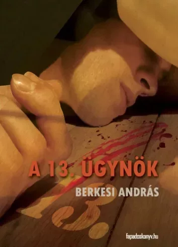 Berkesi András - A 13. ügynök (e-könyv)