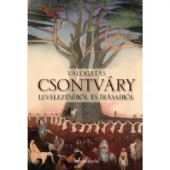   Csontváry Kosztka Tivadar - Válogatás Csontváry levelezésébõl és írásaiból (e-könyv)
