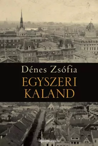 Dénes Zsófia - Egyszeri kaland (e-könyv)