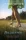 Karen White - Hazatérés (e-könyv)