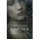 David R. Gillham - Asszonyok városa (e-könyv)