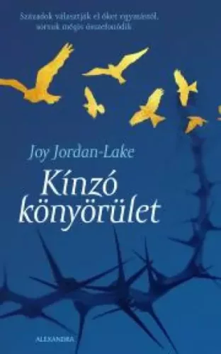 Joy Jordan-Lake - Kinzó könyörület (e-könyv)