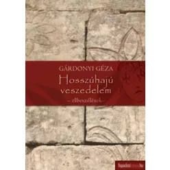 Gárdonyi Géza - Hosszúhajú veszedelem (e-könyv)