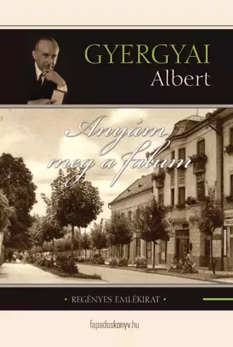 Gyergyai Albert - Anyám meg a falum (e-könyv)