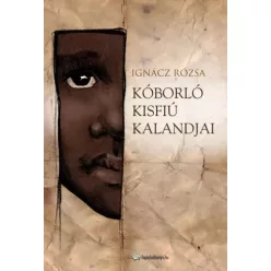 Ignácz Rózsa - Kóborló kisfiú kalandjai (e-könyv)