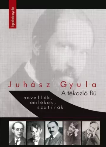 Juhász Gyula - A tékozló fiú (e-könyv)