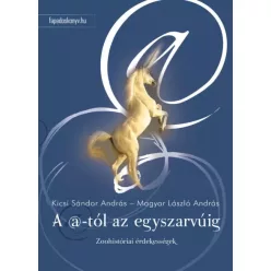   Kicsi Sándor András, Magyar László András - A @-tól az egyszarvúig (e-könyv)