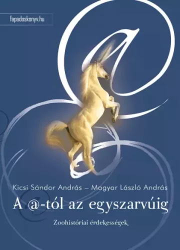 Kicsi Sándor András, Magyar László András - A @-tól az egyszarvúig (e-könyv)