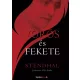 Stendhal - Vörös és fekete (e-könyv)