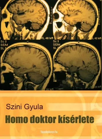 Szini Gyula - Homo doktor kísérlete (e-könyv)