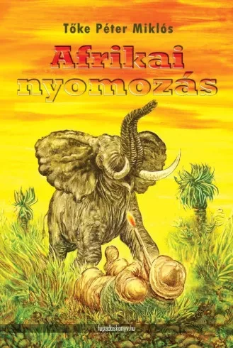 Tőke Péter Miklós - Afrikai nyomozás (e-könyv)