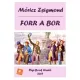 Móricz Zsigmond - Forr a bor (e-könyv)