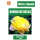 Móricz Zsigmond - Harmatos rózsa (e-könyv)