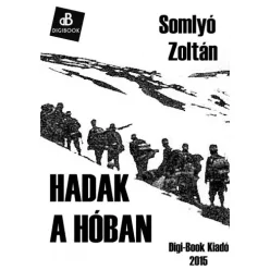 Somlyó Zoltán - Hadak a hóban (e-könyv)